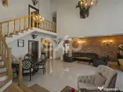 Refugiu urban în București: vilă elegantă, grădină mat 