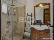 Refugiu urban în București: vilă elegantă, grădină mat 