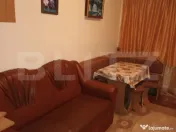 Garsiniera 22 mp - Fagaras 