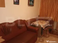 Garsiniera 22 mp - Fagaras