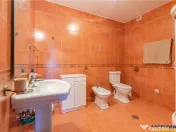 FILM! Castelariu: spectacol panoramic, locatie prestigioasa, 