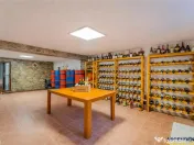 FILM! Edificiu cu identitate arhitecturala, 700mp teren, gar 