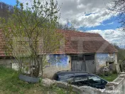 Casă cu 1.2 ha teren, liniște totală, livadă, acces asfa 