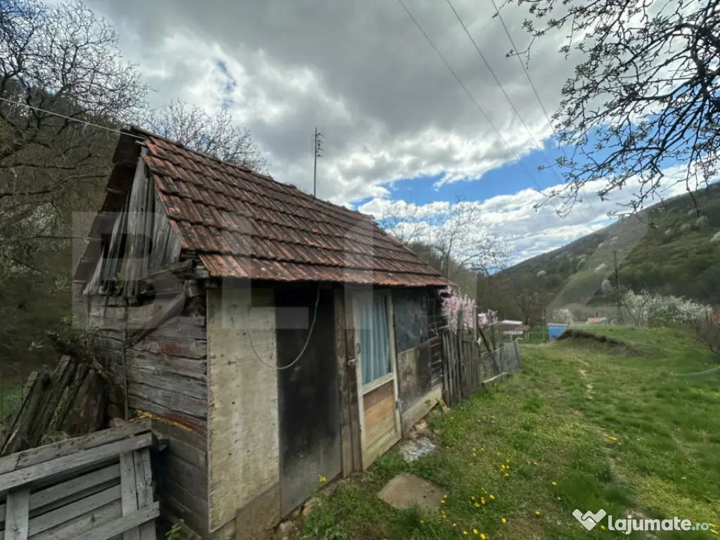 Casă cu 1.2 ha teren, liniște totală, livadă, acces asfa