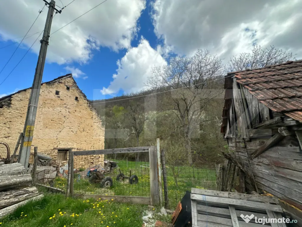 Casă cu 1.2 ha teren, liniște totală, livadă, acces asfa