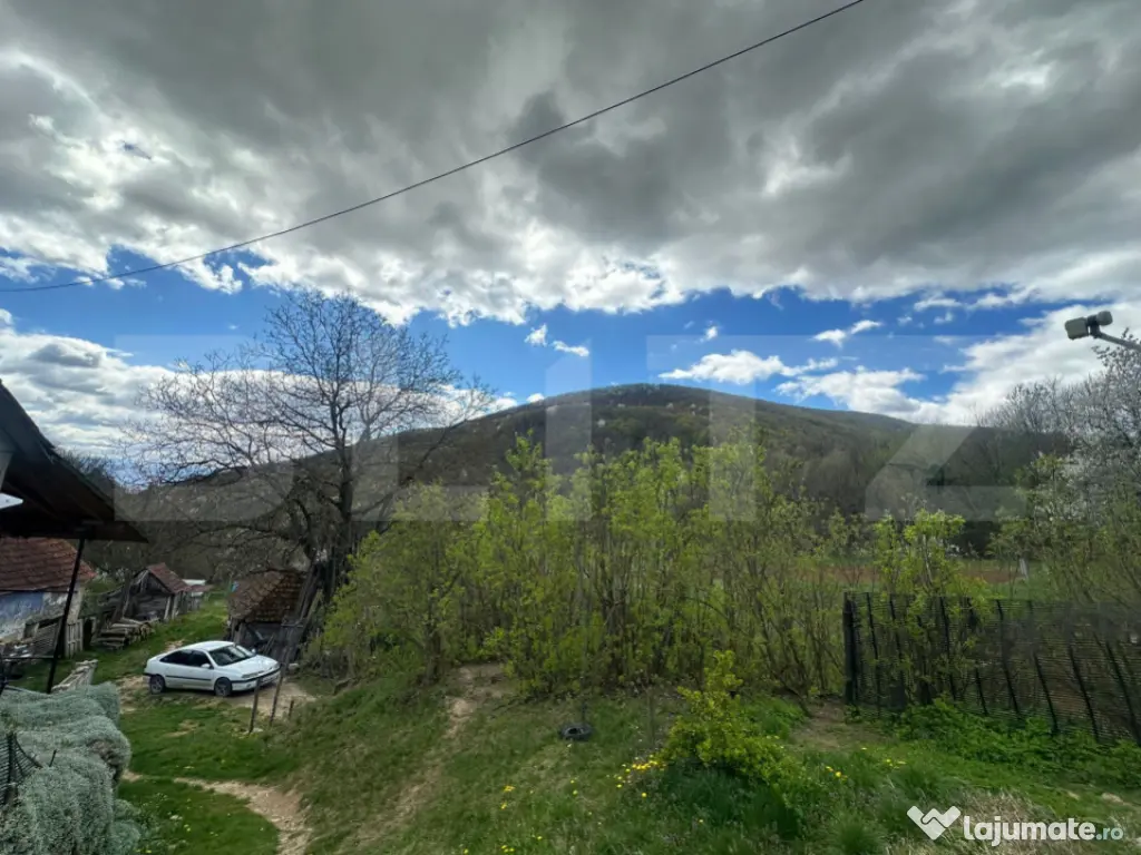Casă cu 1.2 ha teren, liniște totală, livadă, acces asfa