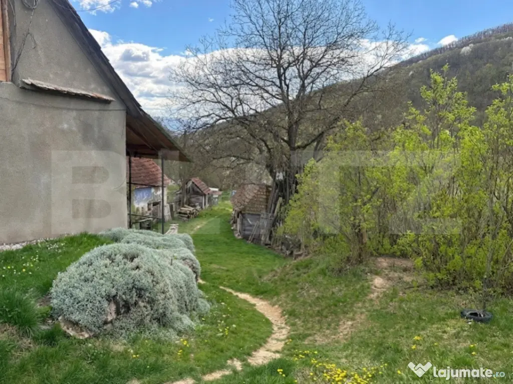 Casă cu 1.2 ha teren, liniște totală, livadă, acces asfa