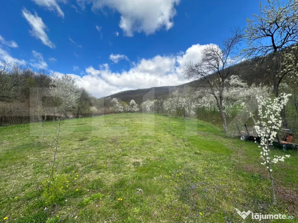 Casă cu 1.2 ha teren, liniște totală, livadă, acces asfa