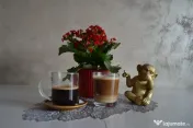 Espressor Automat – Recondiționat Profesional (Cappuccino & Latte) 