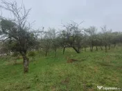 Grosi, zona primariei, 10 ari teren 