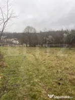 Teren extravilan de vanzare, 2.900 mp, in sat Sintesti, comu