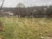 Teren extravilan de vanzare, 2.900 mp, in sat Sintesti, comu