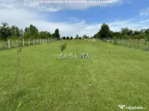 Teren Intravilan (5000 mp),situat în Lelesti, Com. Lelesti