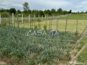 Teren Intravilan (5000 mp),situat în Lelesti, Com. Lelesti 