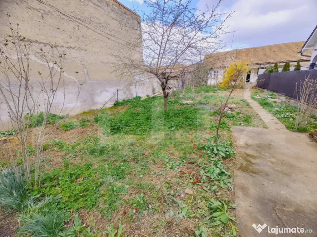 Casa individuala 3 camere, zona ultracentrala - Campia Turzi