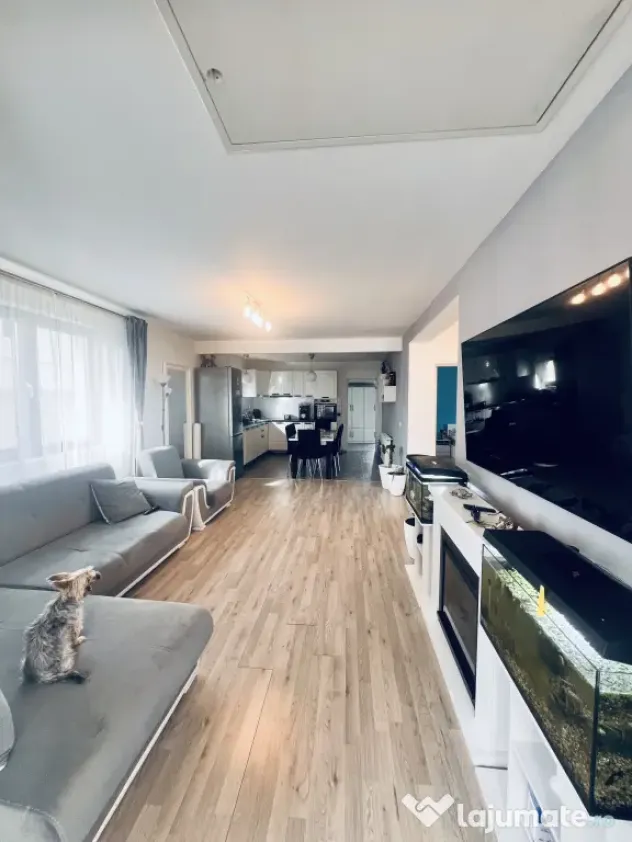 Casa individuala Sânmihaiu Român