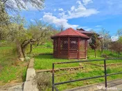 CASA LA VLADESTI - OAZA DE LINISTE APROAPE DE ORAS 