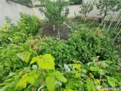 Casa cu vatra traditionala, gradina, garaj, facilitati, Codl 