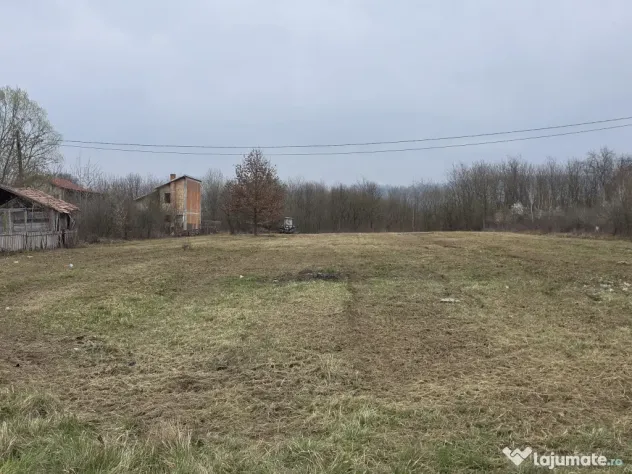 Terenuri lacul surduc timiș 360mp
