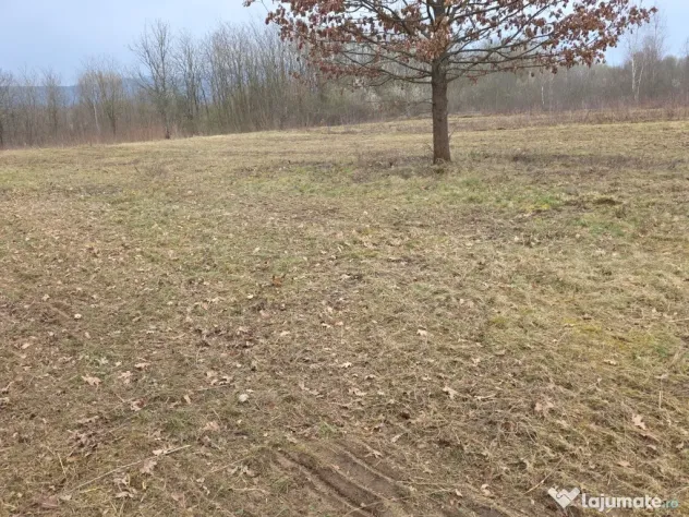 Terenuri lacul surduc timiș 360mp