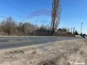 VANZARE Teren intravilan 40,000mp Cocani / Academia Titi Aur 
