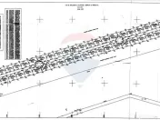 VANZARE Teren intravilan 40,000mp Cocani / Academia Titi Aur 