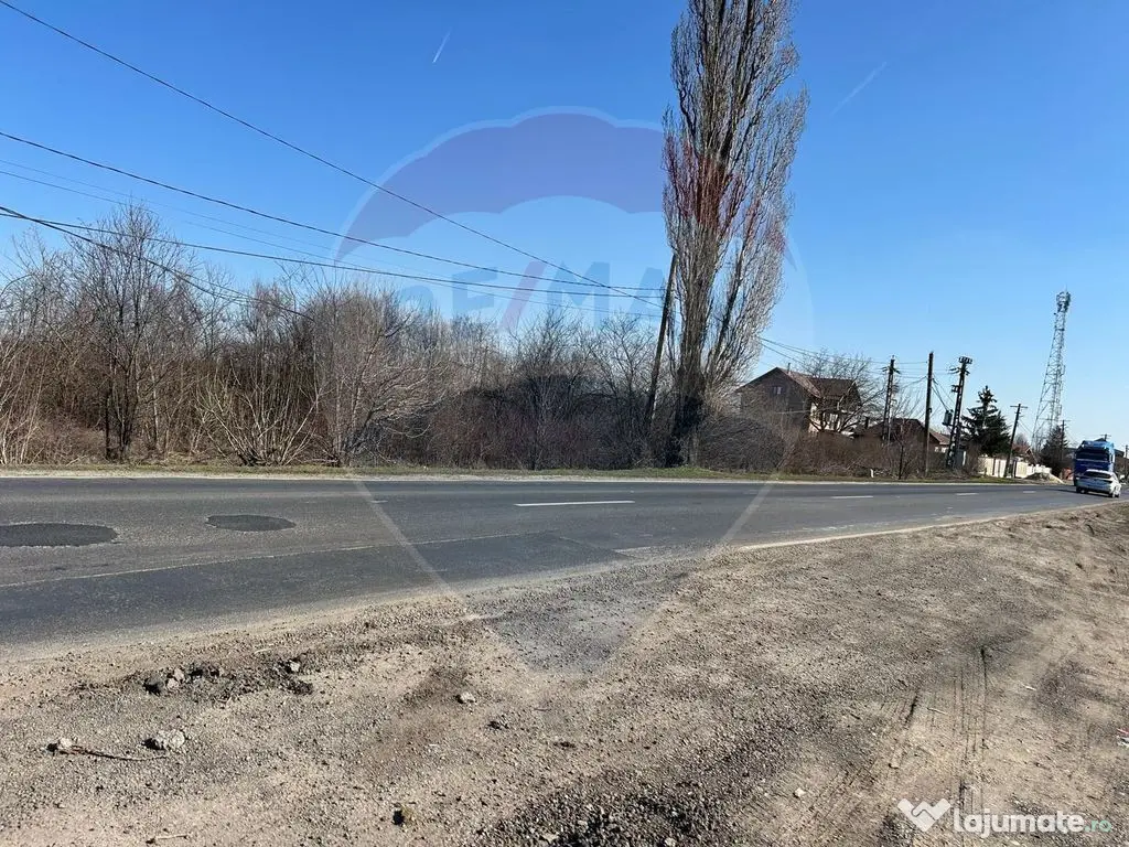 VANZARE Teren intravilan 40,000mp Cocani / Academia Titi Aur