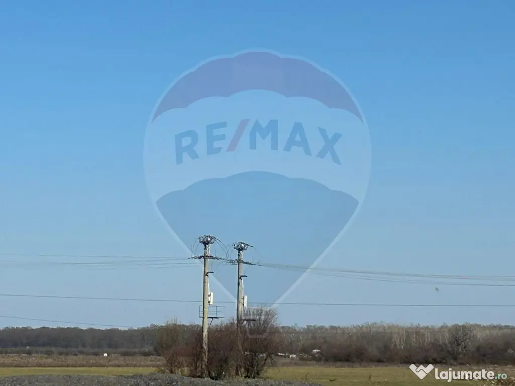 VANZARE Teren intravilan 40,000mp Cocani / Academia Titi Aur