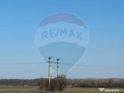 VANZARE Teren intravilan 40,000mp Cocani / Academia Titi Aur 