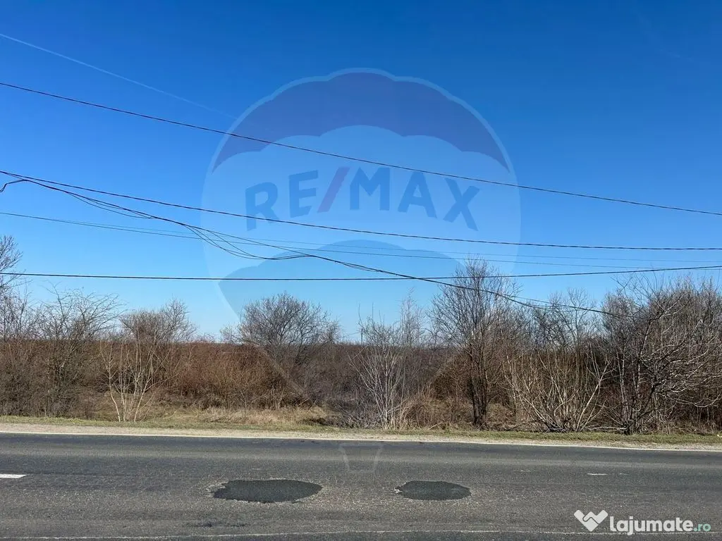 VANZARE Teren intravilan 40,000mp Cocani / Academia Titi Aur