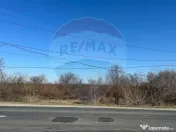 VANZARE Teren intravilan 40,000mp Cocani / Academia Titi Aur 