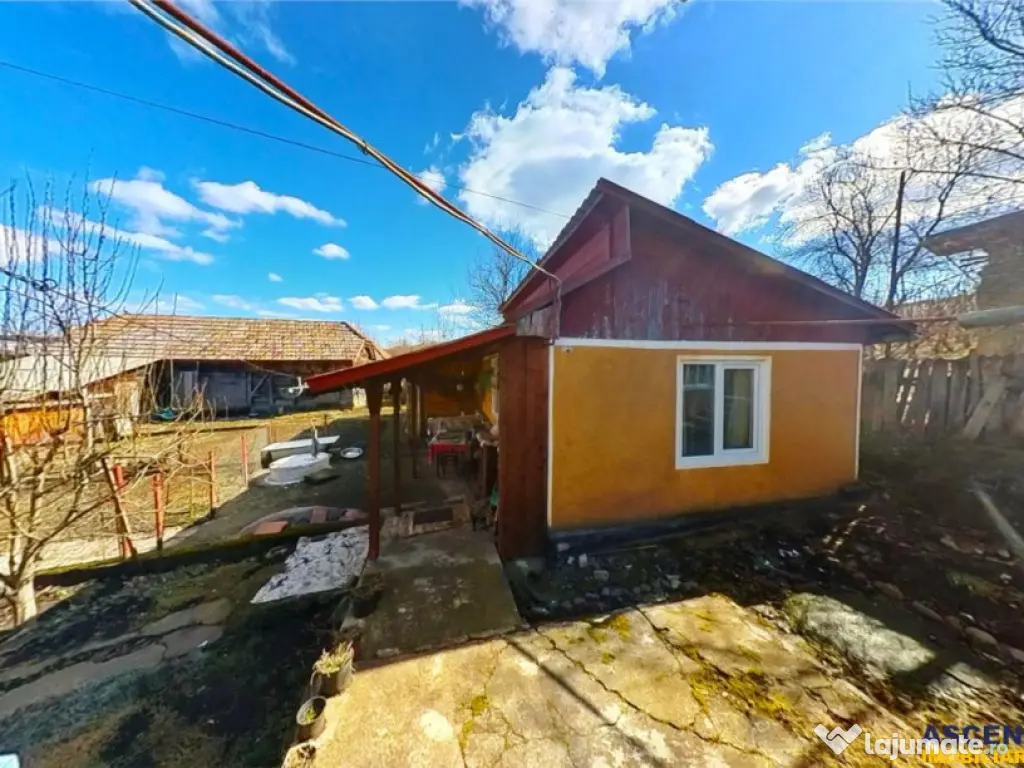 TUR 3D! Locuinta traditionala 4300 mp teren,pomicultura,an