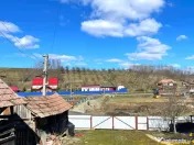 TUR 3D! Locuinta traditionala 4300 mp teren,pomicultura,an 