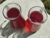 Produse din strugurii producție proprie