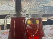 Produse din strugurii producție proprie