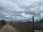 Teren de vanzare in Techirghiol, Cartierul Nou - 1100 mp 
