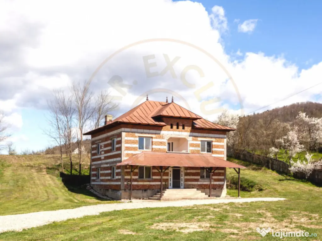 Casă P+1 langa padure cu teren 4.752 mp Cosesti Arges