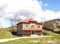 Casă P+1 langa padure cu teren 4.752 mp Cosesti Arges