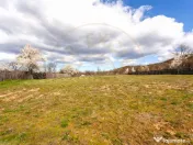 Casă P+1 langa padure cu teren 4.752 mp Cosesti Arges 