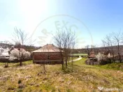 Casă P+1 langa padure cu teren 4.752 mp Cosesti Arges 