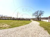 Casă P+1 langa padure cu teren 4.752 mp Cosesti Arges 