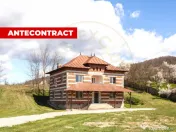 Casă P+1 langa padure cu teren 4.752 mp Cosesti Arges 