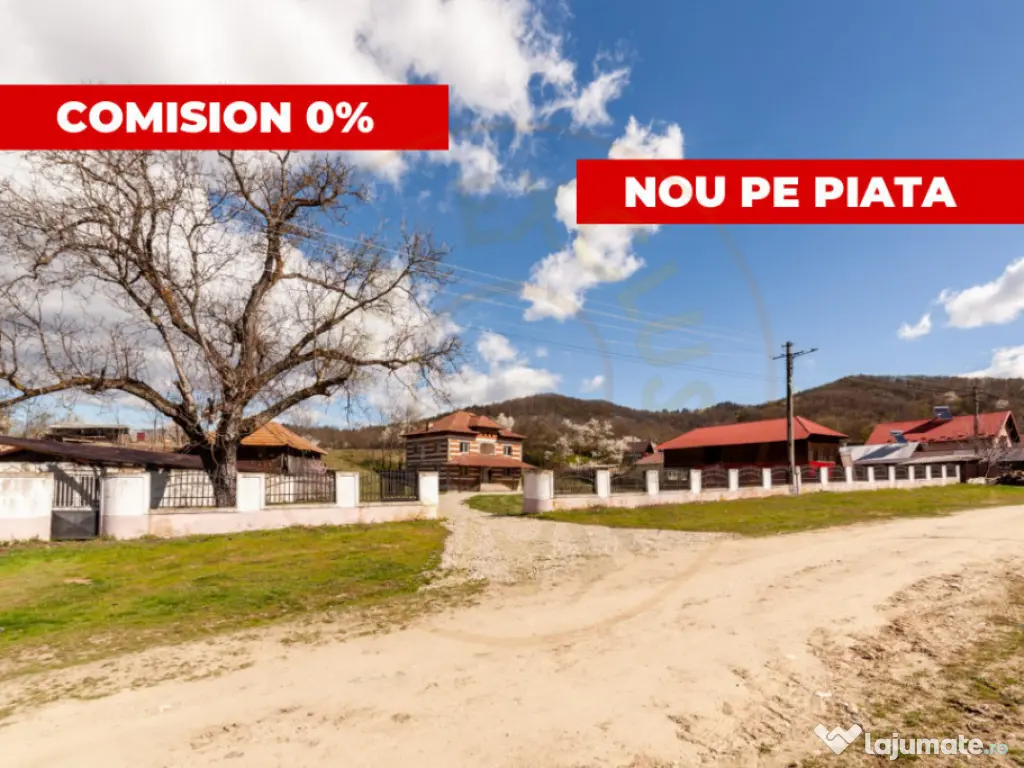 Casă P+1 langa padure cu teren 4.752 mp Cosesti Arges