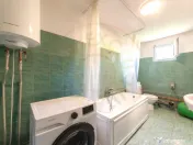 Casă P+1 langa padure cu teren 4.752 mp Cosesti Arges 