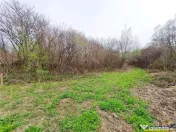 Teren 1.700 mp intravilan, natura, vecinatati bune, potentia 