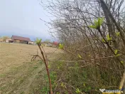 Teren 1.700 mp intravilan, natura, vecinatati bune, potentia 