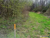 Teren 1.700 mp intravilan, natura, vecinatati bune, potentia 