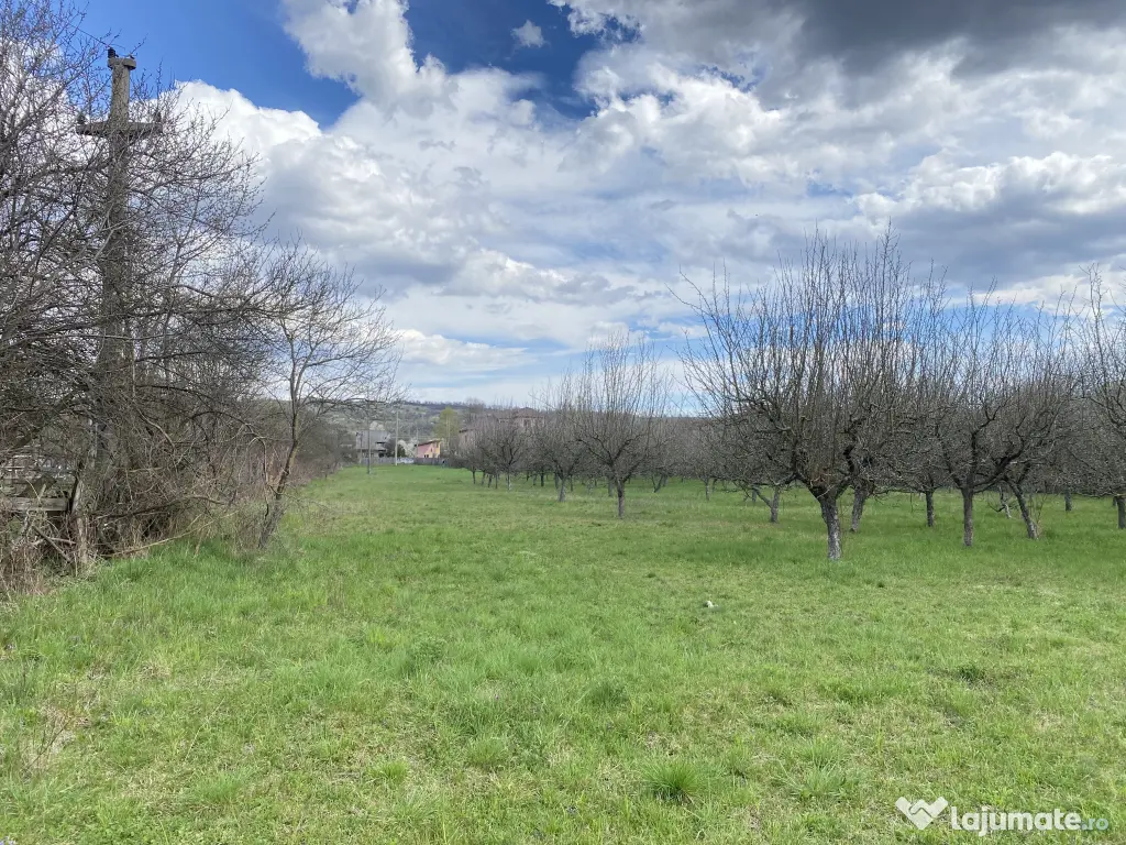 Teren intravilan 7000 mp