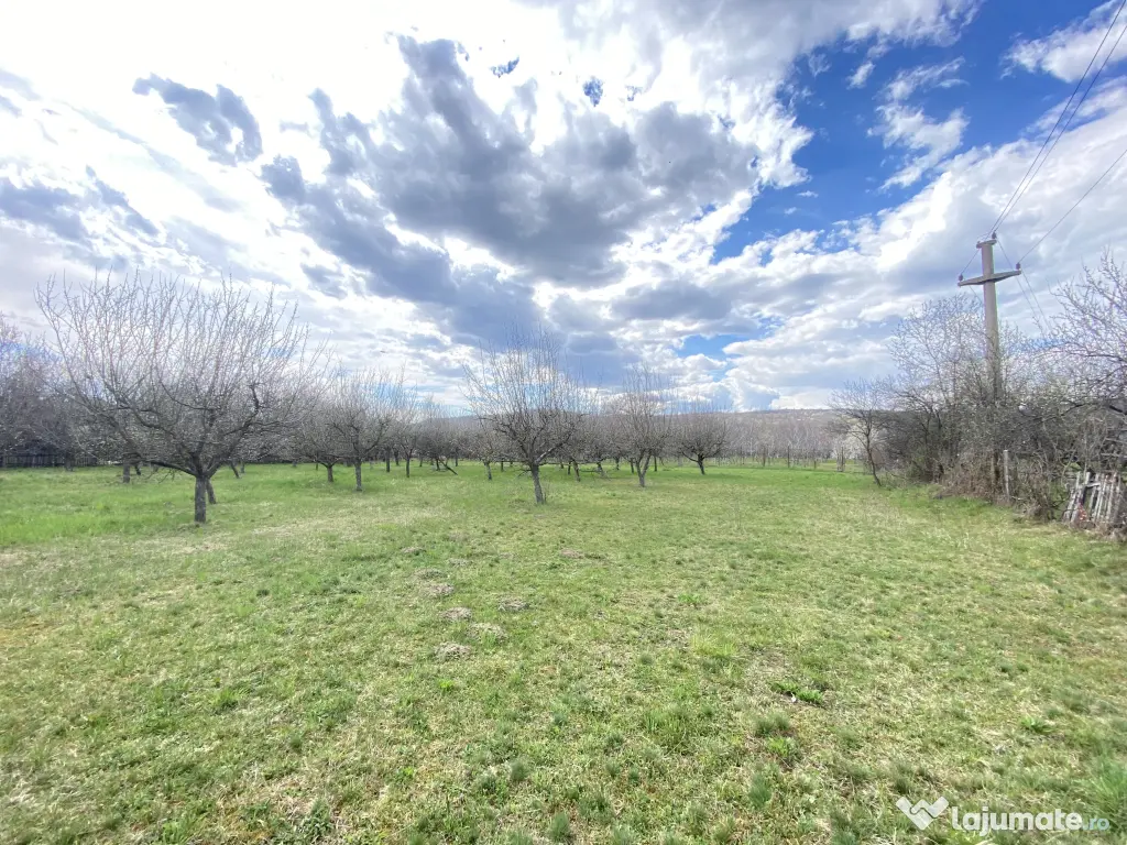 Teren intravilan 7000 mp