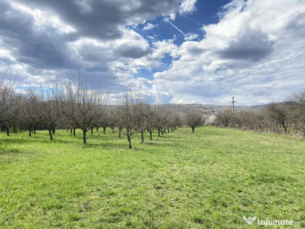 Teren intravilan 7000 mp